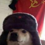 dog777345's Avatar'