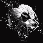 SilentKnod's Avatar'
