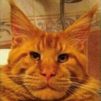 BraydenSlayer's Avatar'