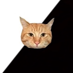 Snacis_'s Avatar'
