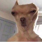 TheUnknownTHEFT's Avatar'