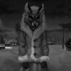 MP.Dark__Kotov's Avatar'