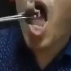 BatEatingChamp's Avatar'