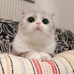 N_U_M_B_'s Avatar'