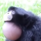EggsAreYum's Avatar'