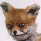 ConsulNapoleon's Avatar'