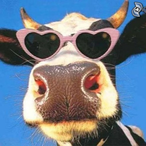 NEDSKOWDUBENDOO's Avatar'