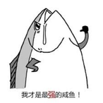 TheCupcake1's Avatar'