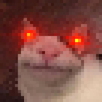 CharcoalMochii's Avatar'
