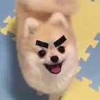 KeeBeeper's Avatar'