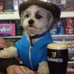 StickyLoad31's Avatar'