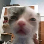 vekssi's Avatar'