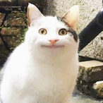 GSkula's Avatar'