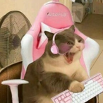 Kittylicia's Avatar'