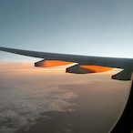 odd.hedgehog's Avatar'