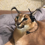 schigulla's Avatar'