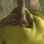 Jlow_bob's Avatar'