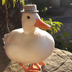 Ducking_Karma's Avatar'