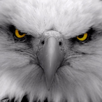 xerttttttx's Avatar'