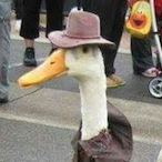 Scuffed_01's Avatar'