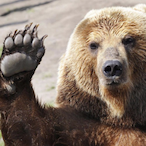 Revenant_22's Avatar'