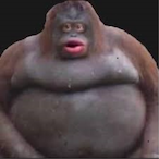 Bog.-.'s Avatar'