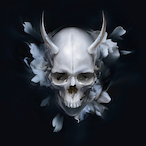 vlklnq's Avatar'