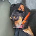 Shadow_LaSmooth's Avatar'