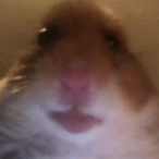 Sweaty7374's Avatar'