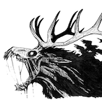 whitenova.'s Avatar'