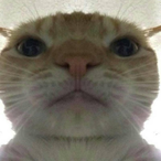 EmiEh08's Avatar'