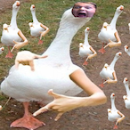 xmcCrog's Avatar'