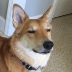 Papa_Mitch's Avatar'