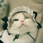 Jiu-Sheng's Avatar'