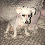 Camila_rub's Avatar'