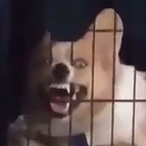 lithium-battery's Avatar'