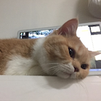 primesjothy's Avatar'