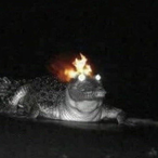 Pleptus's Avatar'