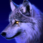 sloppy-on-x1m's Avatar'