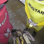 Splishy.Splash's Avatar'