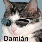 Doondeees's Avatar'