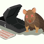 GeekSqueakk's Avatar'