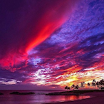 Scoobyzeira's Avatar'