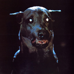 Ollyvampir's Avatar'