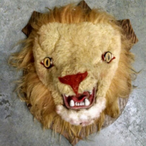 yungror's Avatar'