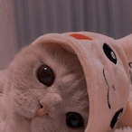 r6.suki's Avatar'