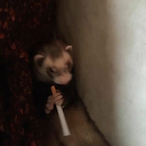 SaltyMilk23's Avatar'