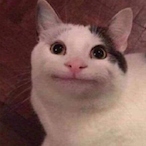 FriendlyNeko's Avatar'