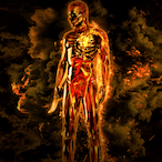 Shapovalov56's Avatar