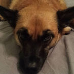 platinum-optic43's Avatar'